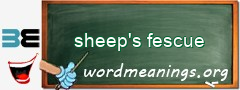 WordMeaning blackboard for sheep's fescue